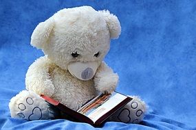 reading white teddy bear