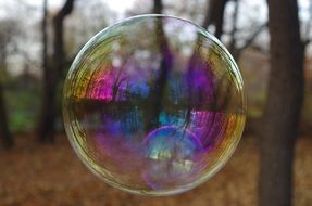 Soap Bubble Bubble Reflection