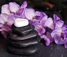 purple flowers and pebbles in stack with gluck word at top