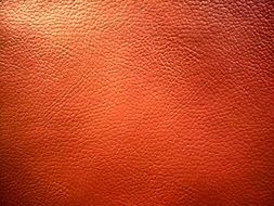 Texture Leather Photo Bright
