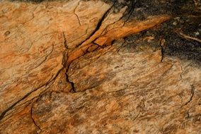 Background Rock Stone Nature