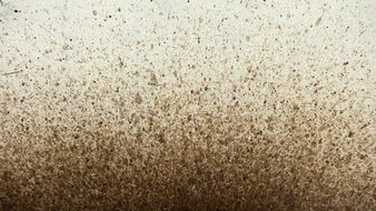 Background Texture Wall Mud