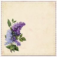 Flower Background Purple
