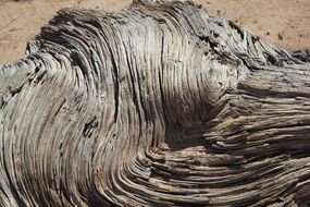 Swirling Wood Natural Design
