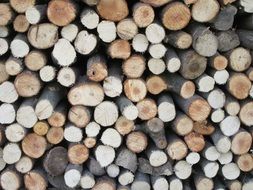 Wood Stack Pile Cut Lumber