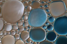 oil circles on the liquid next to each other