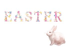 Easter Spring Bunny Rabbit