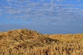 Straw Field Stubble Sky