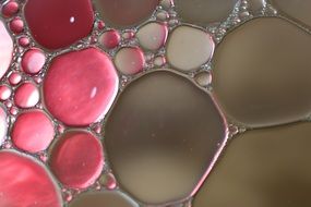 pink and transparent oily circles