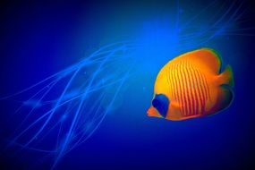 Small Fish Tropical Abstract