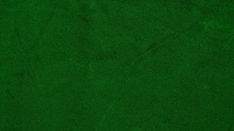 green velvet background
