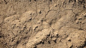 Background Texture Cracks Soil