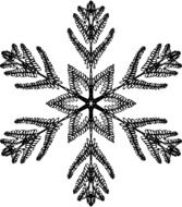 geometric ornamental flower