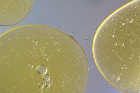 yellow oil circles on blue water