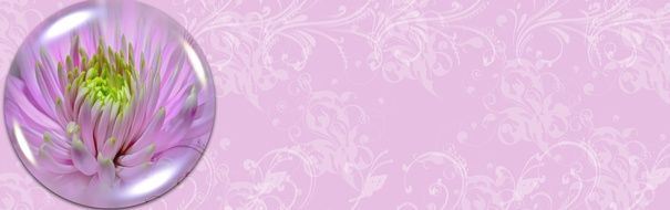 flower in a ball on a pink background
