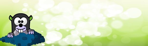 Banner Header Mole Bokeh Green