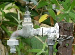 water tap in the garden