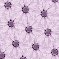 Background Desktop Flowers Lilac