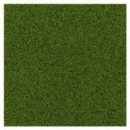 Grass Carpet Texture Structure