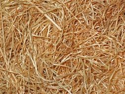 Wood Wool Wood Near Natural