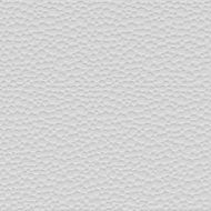 cellular white structure