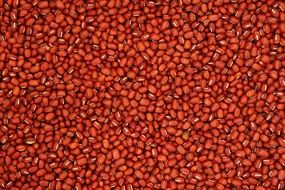 Red Bean Pattern Texture Nature