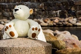 Bear Bears Pier Water Stones