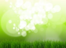 Bokeh Easter Background Rush