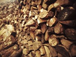 Texture Of Wood Pine