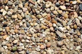 Pebbles Pebble Bank Stones