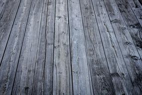 Wood Texture Wood Background