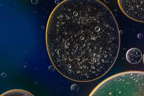 clear oil circles on dark water