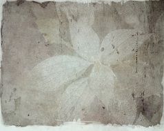 gray background with light leaves
