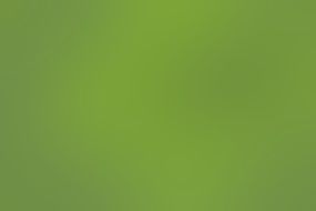Green Color Simply Background