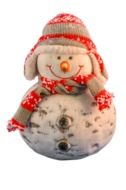 isolated snow man with a scarf