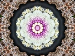 Pattern Form District Background