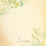 Background Peach Soft Flower