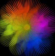 Color Colorful Network Texture