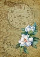 vintage greeting card with clock and white flowers