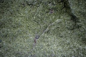 Stone Texture Natural