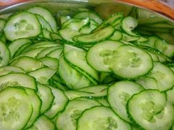 Cucumber Discs Salad Green