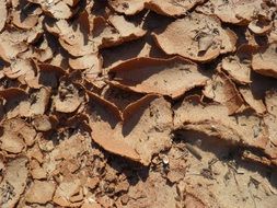 Mud Background Parched Dry