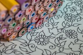 colored pencils are on a sheet of drawings of flowers