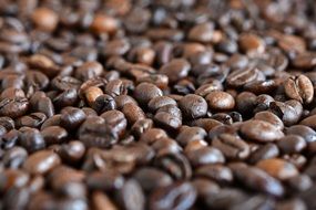 Coffee Coffee Beans Beans