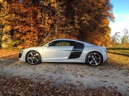 white car stands near trees with yellow leaves