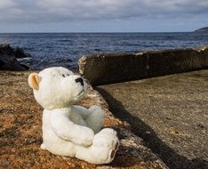 Bear Bears Pier Sea Stones