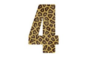 Four Number Pattern Texture
