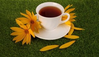 cup of tee on green grass
