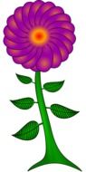 Decoration Flower Paisley Flower