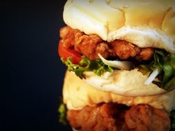 closeup hamburger